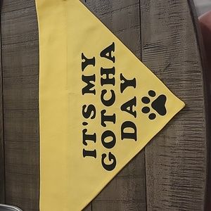 Over the collar Gotcha Day Bandana